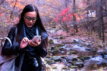 在线播放功能界面展示