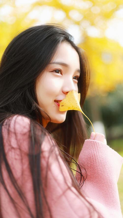 在线播放平台主界面展示